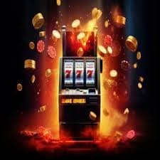 fb bet8